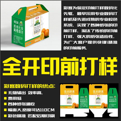 保定市印前打樣與專業(yè)圖文設(shè)計(jì)服務(wù) 走進(jìn)彩客圖文設(shè)計(jì)工作室